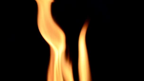 Feu et flamme. Feu sur fond noir 