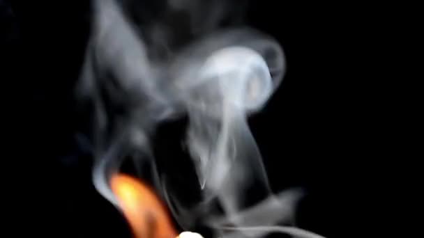 Siyah Arka Planda Sigara Içmek Gri Duman — Stok video