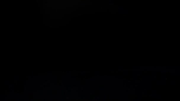 Chute d'une rose sur un fond noir. Mouvement lent .