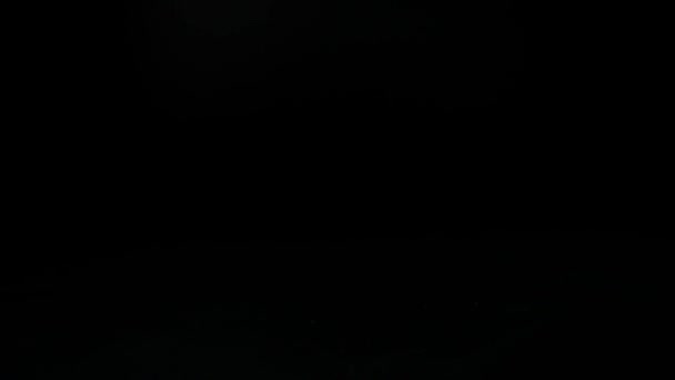 Chute d'une rose sur un fond noir. Mouvement lent .