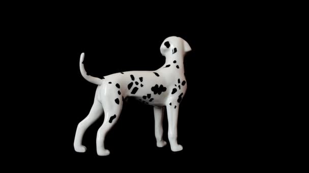 Tiro Cão Dalmatian Tiro Uma Estatueta — Vídeo de Stock