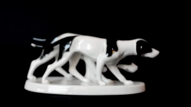 Sparatoria Cane Caccia Sparatoria Una Statuetta — Video Stock