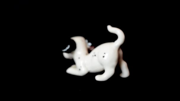 Schieten Een Hond Van Een Dalmatiër Schieten Van Een Beeldje — Stockvideo