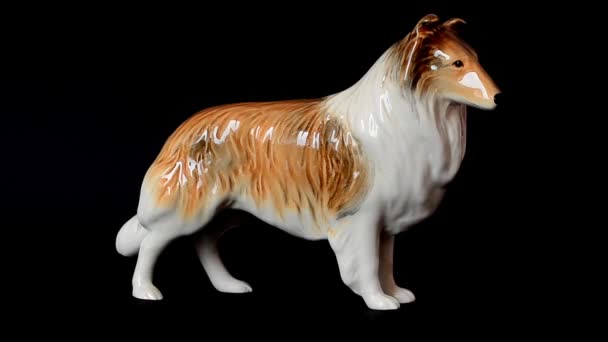 Erschießung Eines Schottischen Collies Schießen Auf Eine Statuette — Stockvideo