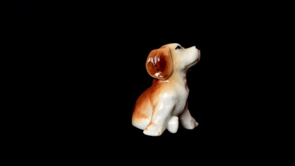 Sparatoria Una Statuetta Uno Spaniel — Video Stock