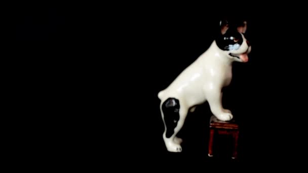 Shooting Bulldog Shooting Statuette — Stock Video