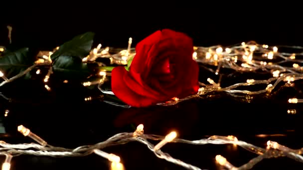 Rose Tegen Achtergrond Van Heldere Bloemenslingers — Stockvideo