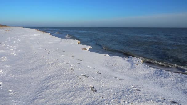 Море Взимку Зйомки Пляжі — стокове відео