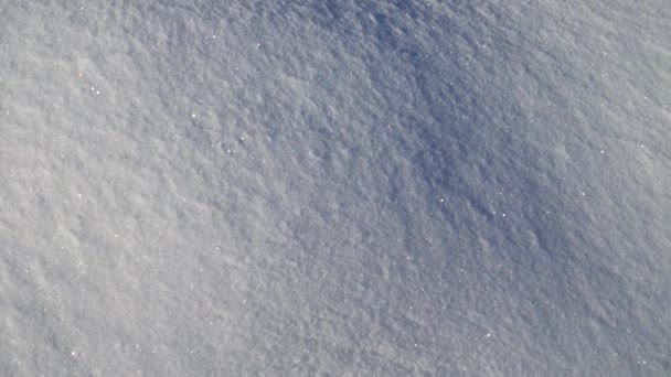 Disparos Nieve Invierno Fondo Forma Nieve — Vídeos de Stock