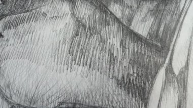 Sürahiler gibi hayat dolu..