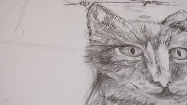 Bir Kedi Çizim — Stok video