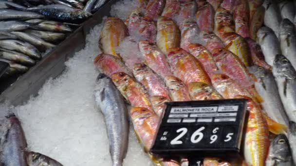 Scelta Dei Frutti Mare Negozio Riprese Spagna — Video Stock