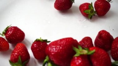 Beyaz arka planda çilek düşüşü. Ağır çekim. Çilek filizlenmesi.