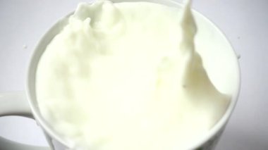 Çilek böğürtlenleri süte düşer. Ağır çekim. Çilek filizlenmesi.