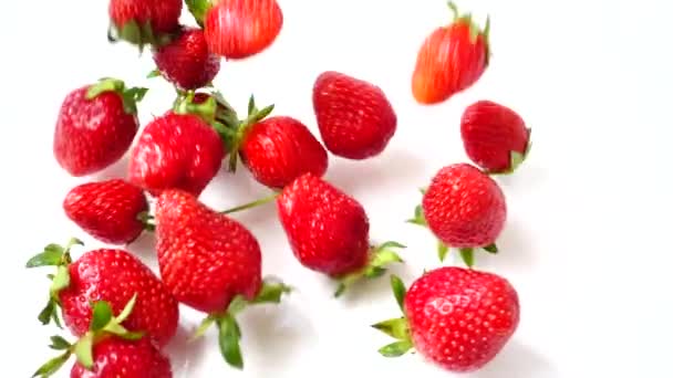 Fallen Von Erdbeeren Auf Weißem Hintergrund Zeitlupe Schießen Auf Erdbeere — Stockvideo