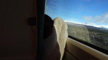 Hareket halindeyken tren vagonundan cama ateş ediyorlar. Harekette çekim..