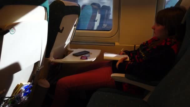高速列车车厢里的那个女孩 运动中的射击 — 图库视频影像