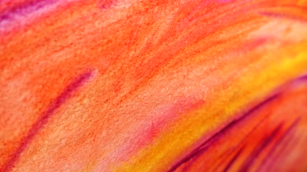 Abstract Tekenen Schroeven Van Tekening — Stockvideo