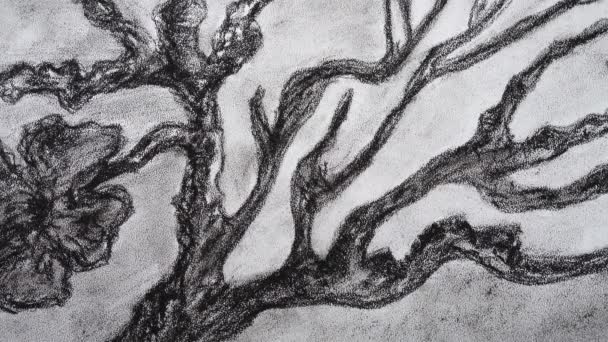 树的抽象绘图 绘画的拍摄 — 图库视频影像
