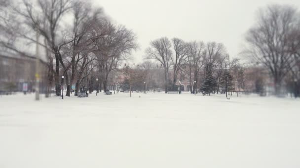 Nieve Que Cae Ciudad Disparos Invierno — Vídeos de Stock