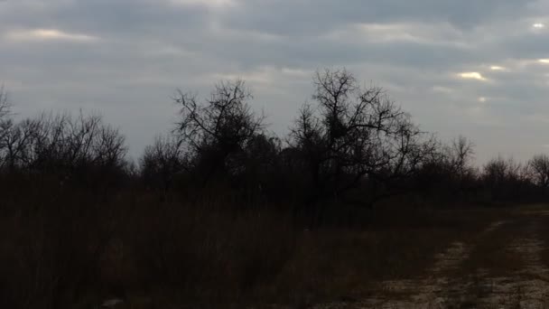 Manzara Bulutlar Zaman Aşımı Zaman Aşımı — Stok video