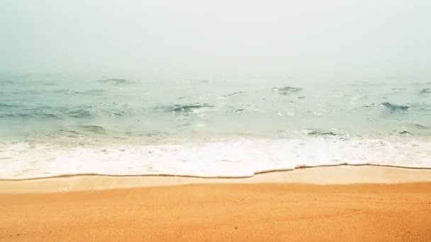 바다의 안개가 자욱하도다 해변에서 — 비디오