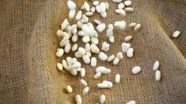 Çuval bezine kayısı düşmesi. Yavaş çekim.