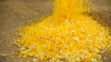 Mısır ezmesi çuval bezine dökülür. Yavaş çekim.