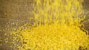 Mısır ezmesi çuval bezine dökülür. Yavaş çekim.