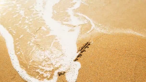 Малюнок Серця Піску Зйомки Пляжі — стокове відео