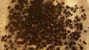 Kahve çekirdekleri çuvala düşer. Yavaş çekim.