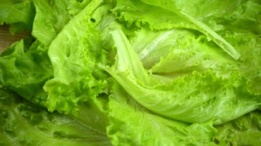 Marul yapraklarının üzerine dökülen domatesler. Yavaş çekim.