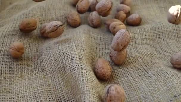 Las Nueces Caen Sobre Arpillera Movimiento Lento — Vídeos de Stock