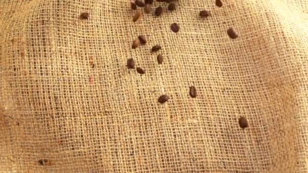 コーヒー豆はバラップに落ちる スローモーション — ストック動画