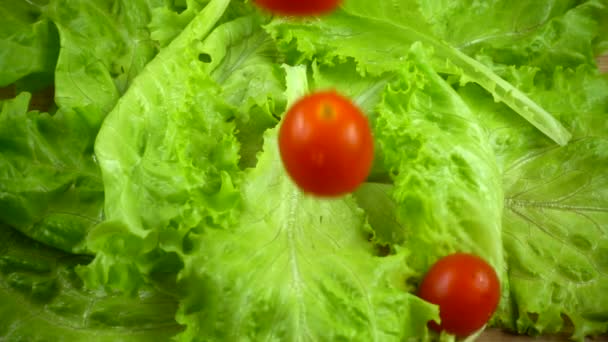 Tomaten Fallen Auf Salatblätter Zeitlupe — Stockvideo