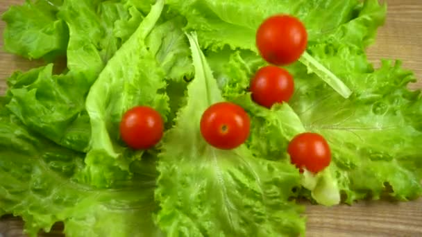 Tomaten Fallen Auf Salatblätter Zeitlupe — Stockvideo