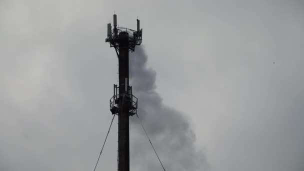 Rook Uit Een Pijp Rookschieten Rookschieten — Stockvideo