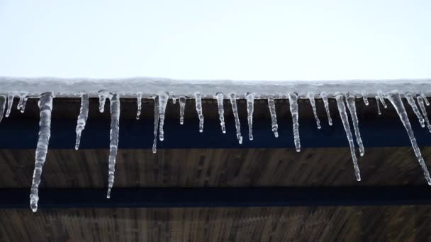 Ciclones Descongelantes Filmar Inverno Tiro Inverno — Vídeo de Stock