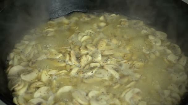 샹폴리옹 버섯을 — 비디오