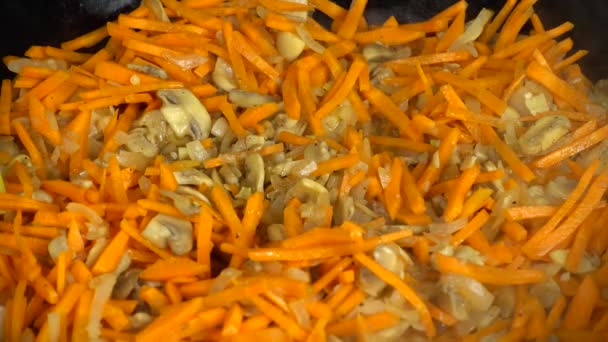 Preparazione Funghi Champignons Con Cipolle Carote Padella Ghisa — Video Stock
