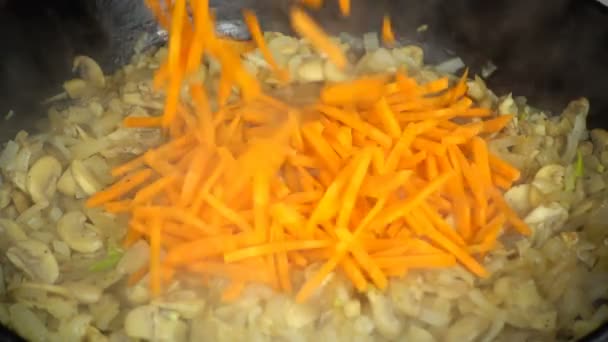 Préparation Champignons Champignons Aux Oignons Carottes Ralenti Casserole Fonte — Video