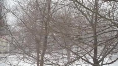 Şehirde kar fırtınası. Kışın çekim..