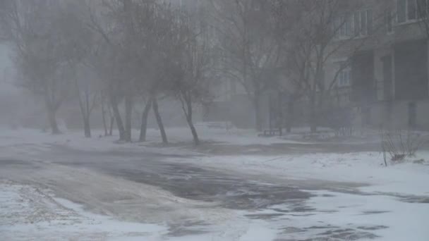 Şehirde Kar Fırtınası Kışın Çekim — Stok video