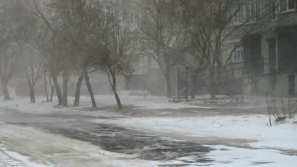 Şehirde Kar Fırtınası Kışın Çekim — Stok video