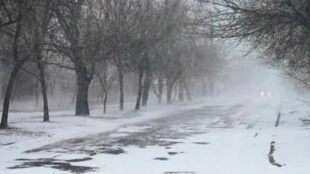 Вьюга Городе Стрельба Зимой — стоковое видео