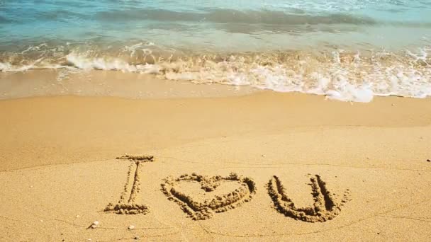 Yazıt Seni Kumsalda Seviyorum Sahilde Çekim Yapmak — Stok video
