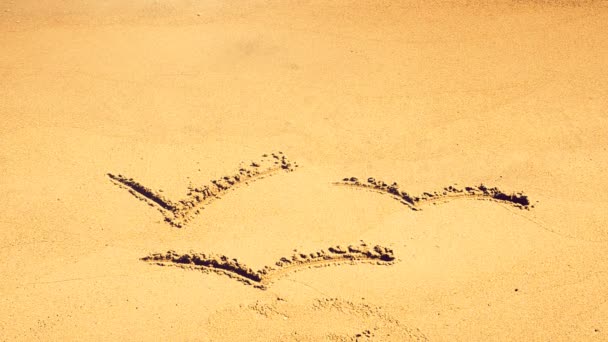 Tekening Van Meeuwen Zand Schieten Het Strand — Stockvideo