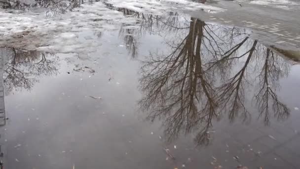 Enorme Bron Plas Schieten Het Voorjaar — Stockvideo