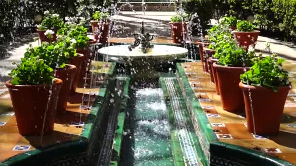 ソローヤの家博物館の庭の噴水 スローモーション マドリードで撮影 スペイン — ストック動画