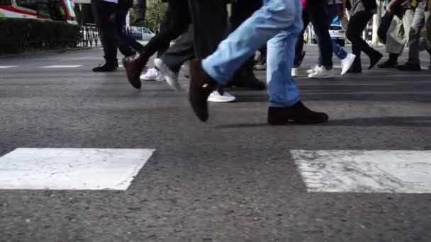 Gente Cruza Calle Paso Peatones Cámara Lenta Los Peatones Cruzan — Vídeos de Stock